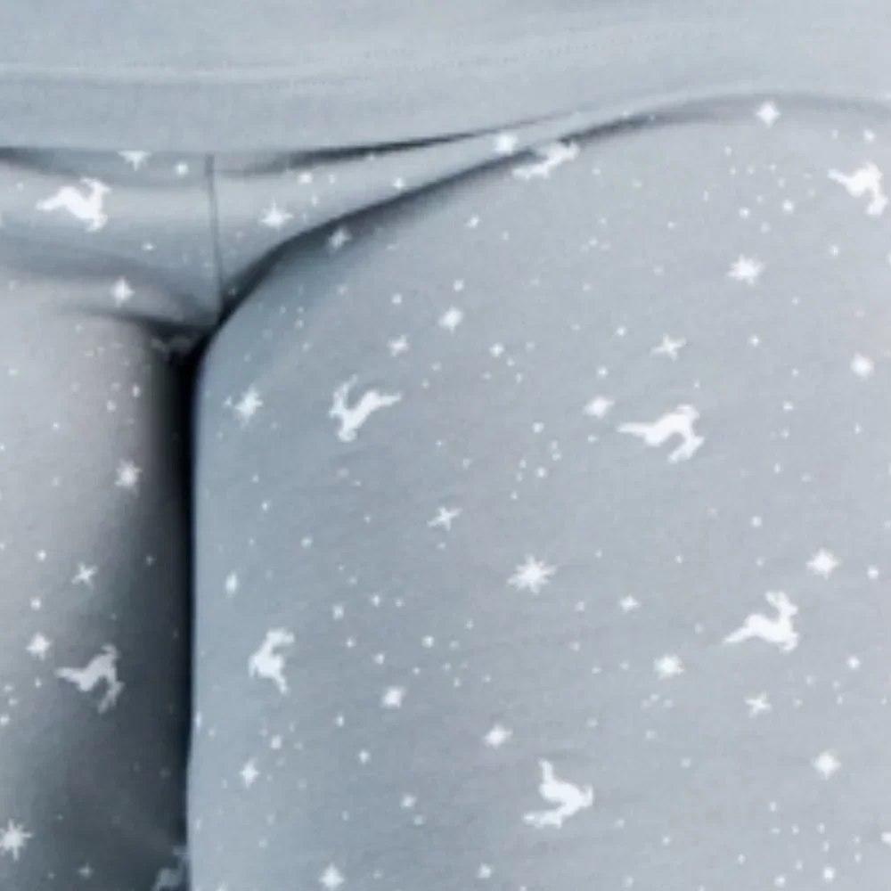 Charter Club Cotton Pajama Set Grey Reindeer
